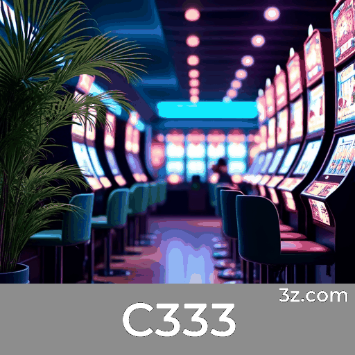C333 